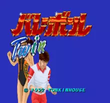 Image n° 1 - screenshots  : Volleyball Twin